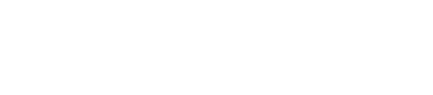 Dr-festucci-logo 1